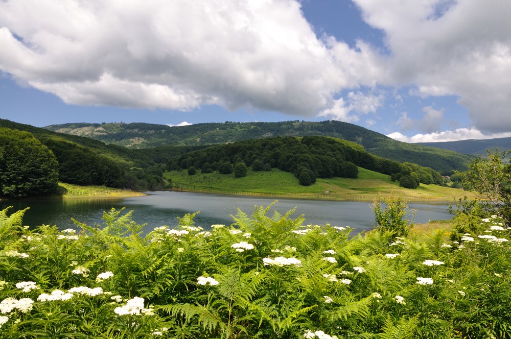 Mavrovo