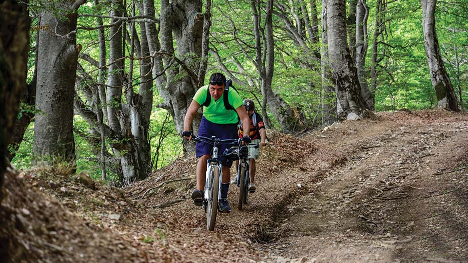 Mountain biking